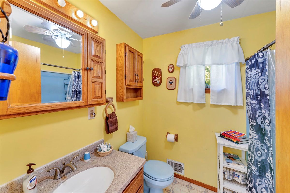 Main Floor Bathroom