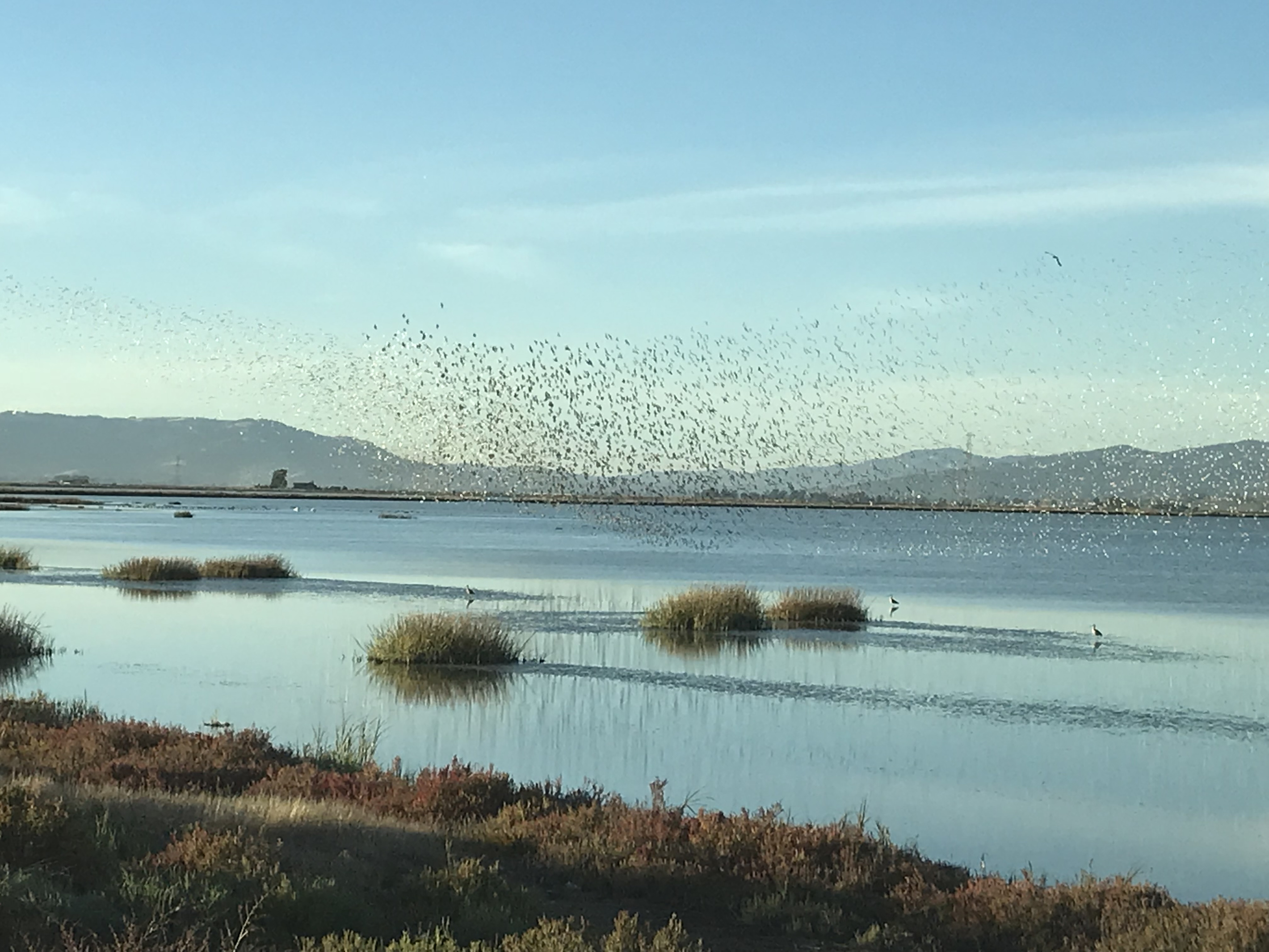 Bird Watching - 10 minutes 