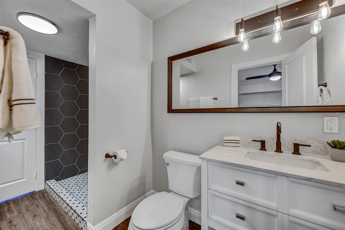 Newer Bath facilities, toilet, shower and vanity