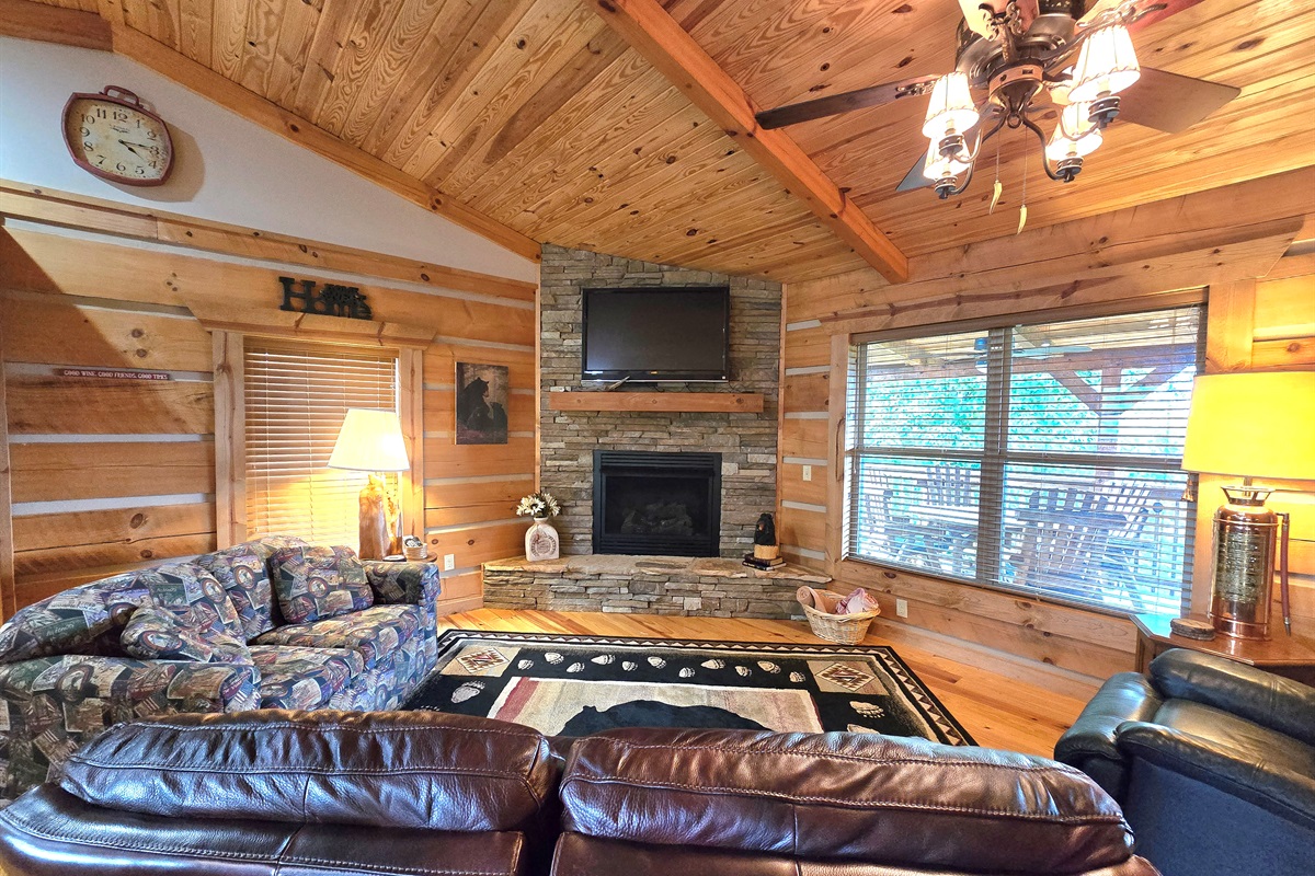 Living Room Gas Fireplace