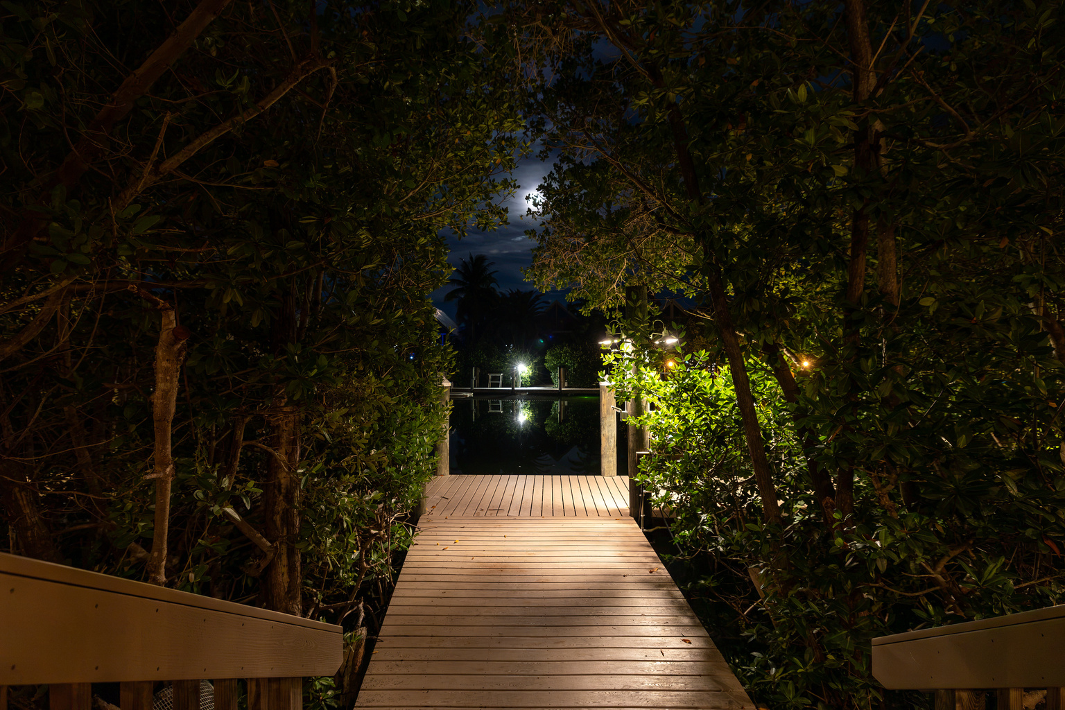 Surrounded by mangroves, palm trees, and tropical plants.