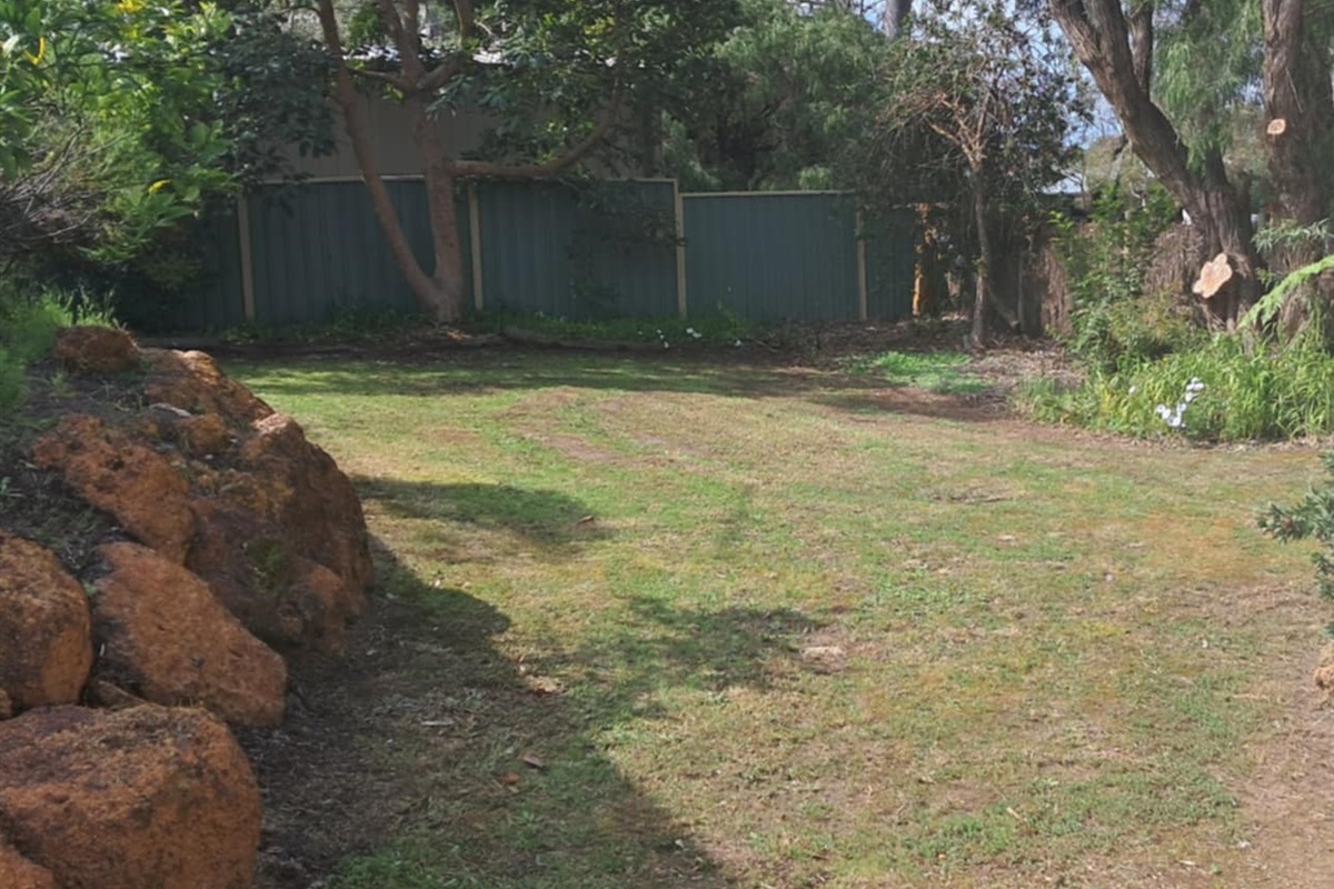 Large Backyard
