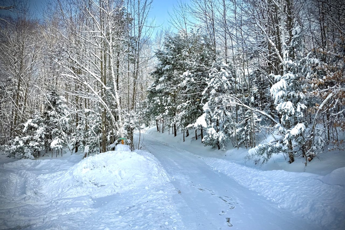 Winter Wonderland