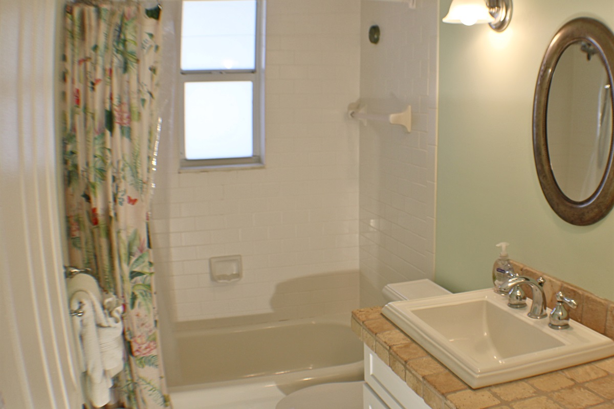 Guest bathroom features a tub and shower
