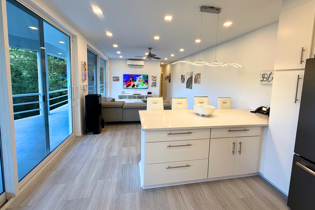 Open kitchen and living room