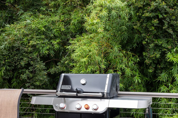 Weber Propane Grill