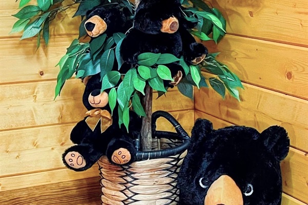 Bears😉