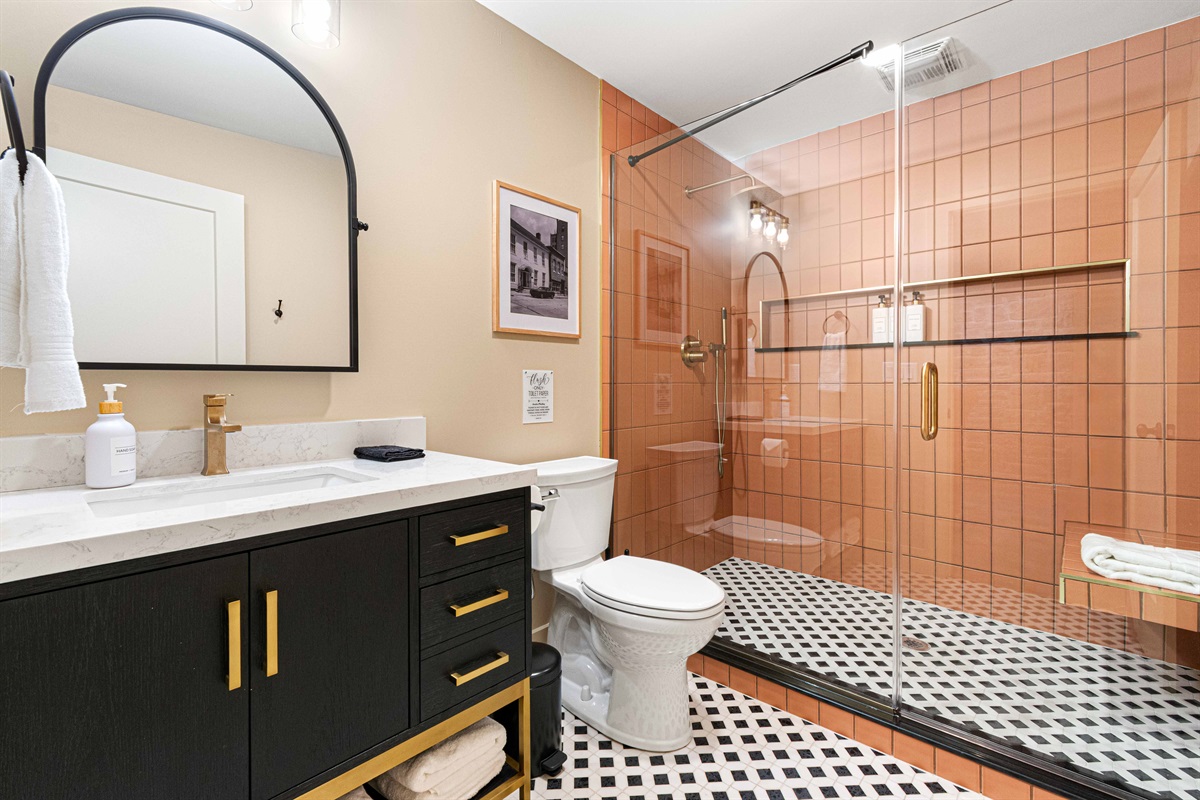 Downstairs bathroom (2 bathrooms downstairs)