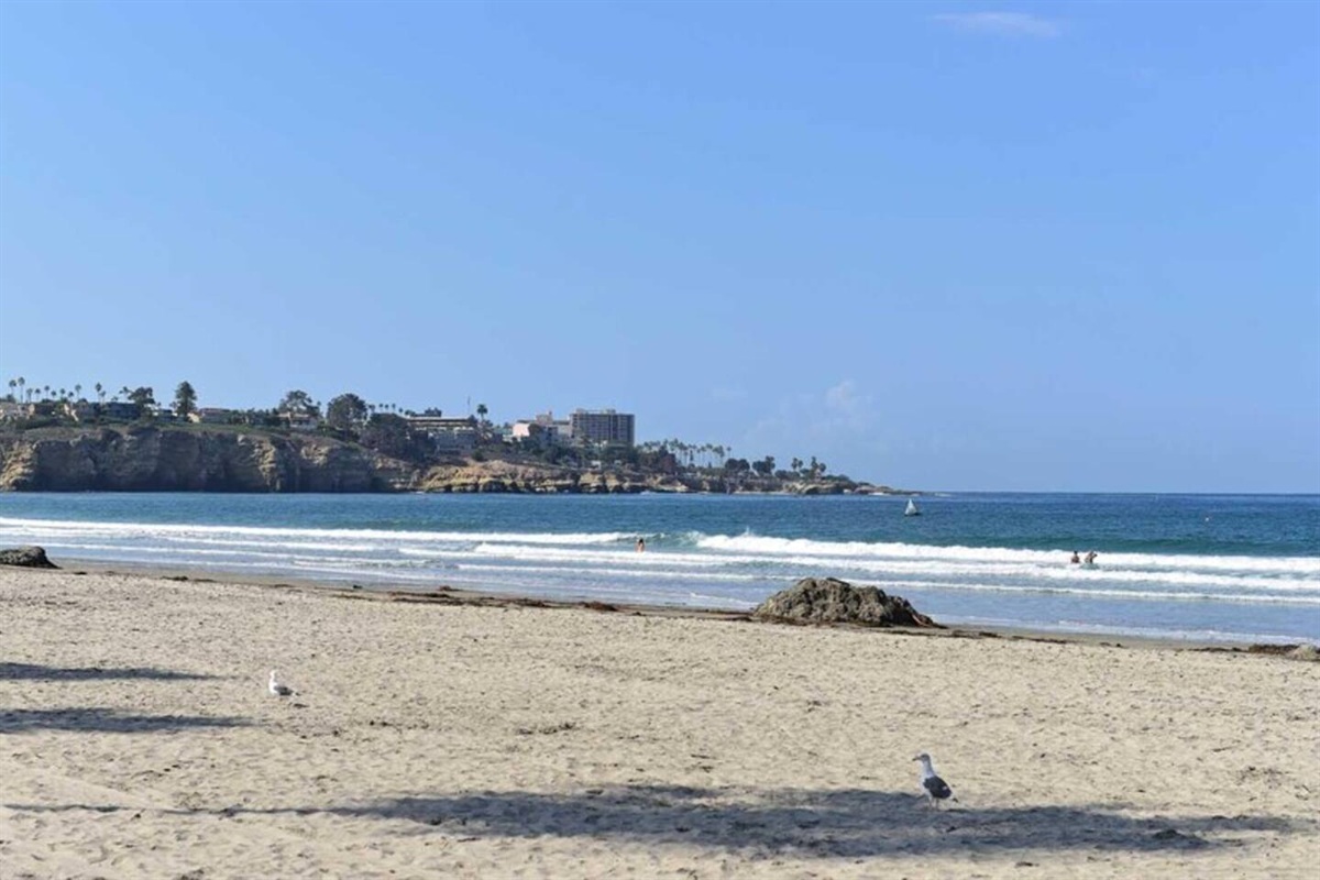 La Jolla Shores Beach right across the street