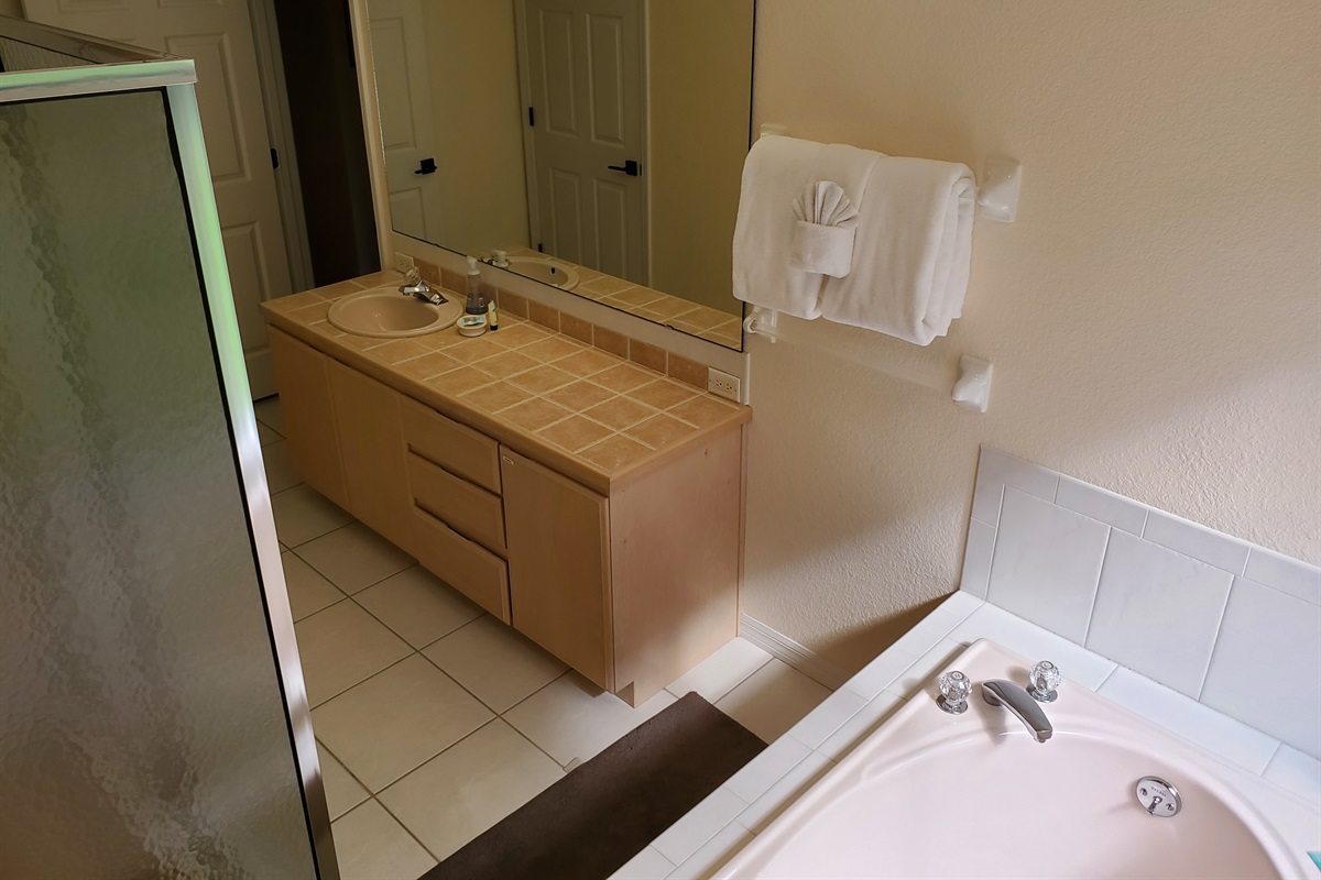 Master King private bathroom with walk in shower and sunk-in tub