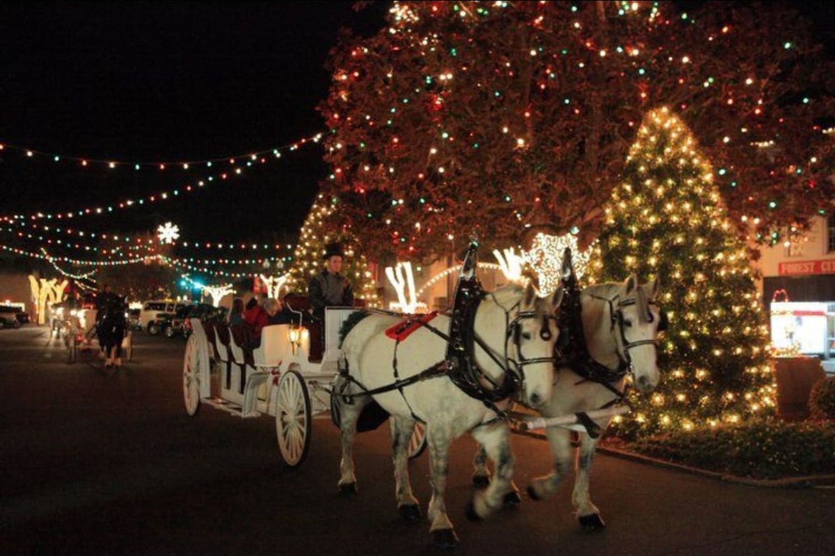 All surrounding mountain towns have Christmas lights and shows