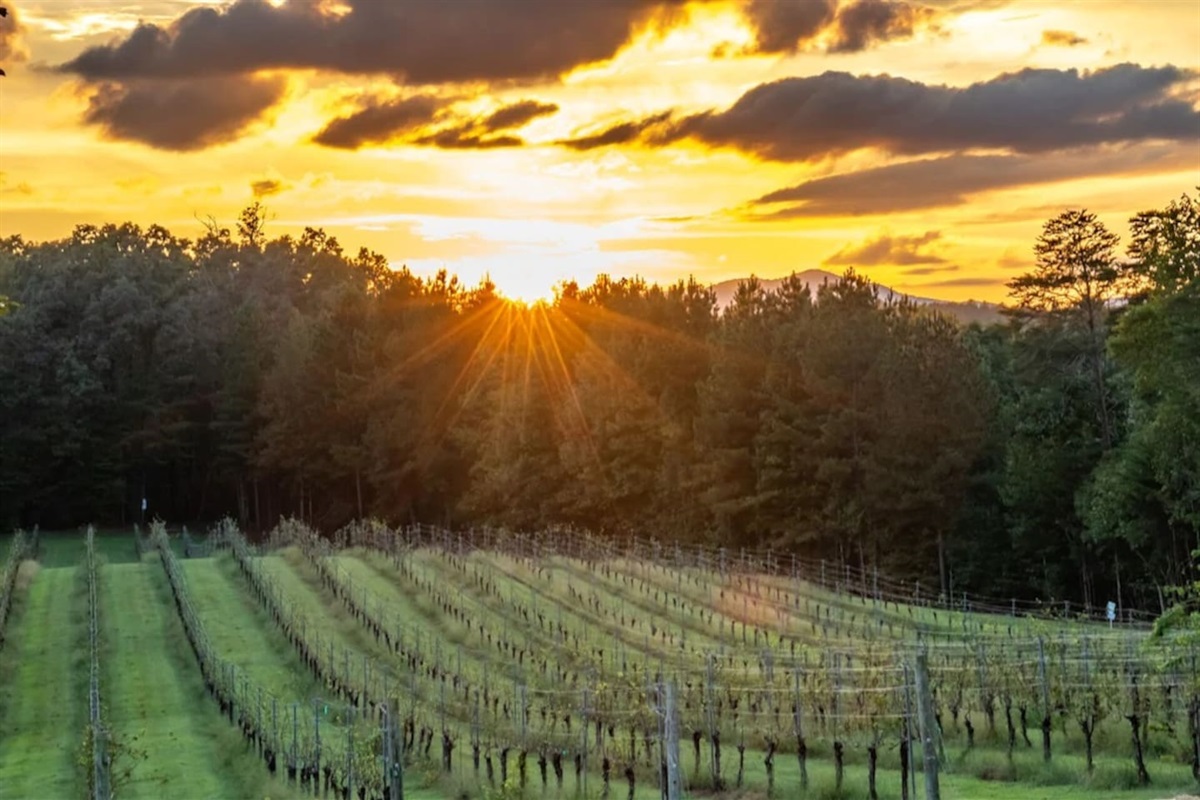 There are several wineries within an hour's drive