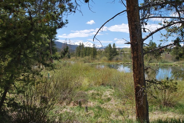 Nearby Protected Wetlands