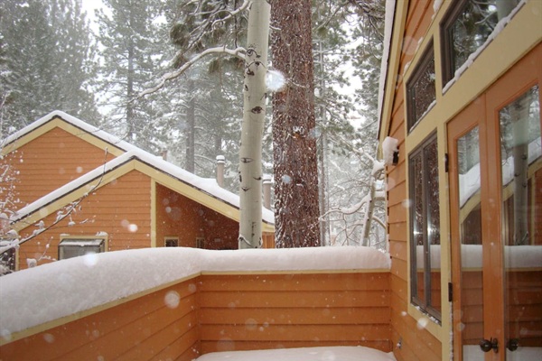 Winter wonderland!