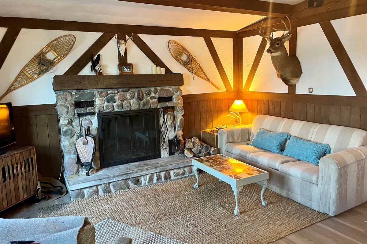 Living Room with full-sized pullout couch