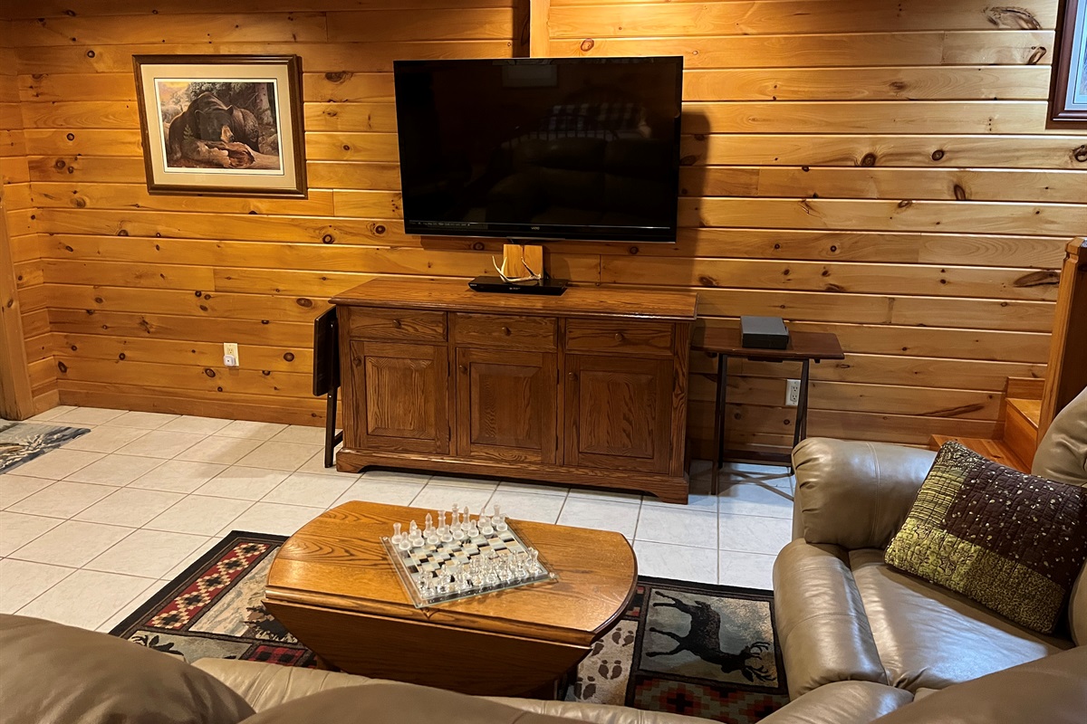 Lower level living area