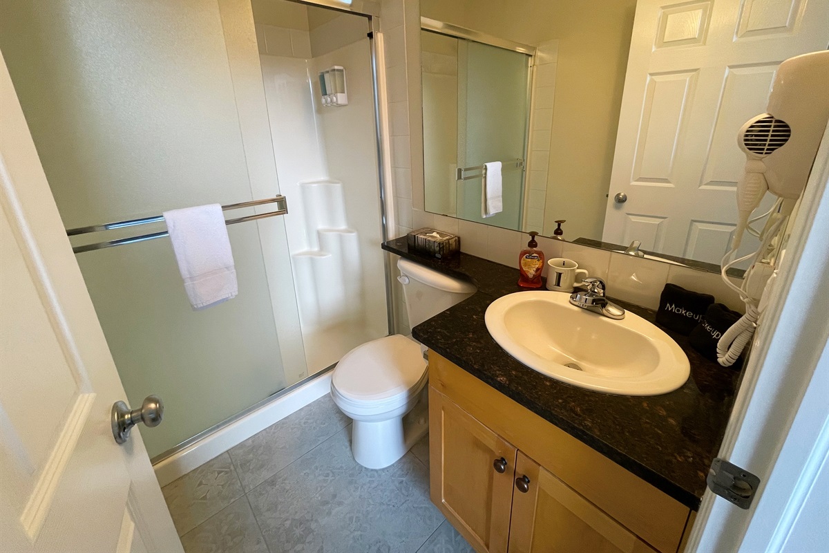 Ensuite bathroom for the master bedroom. Towels, shampoo/conditioner and soap provided. Hair dryer.