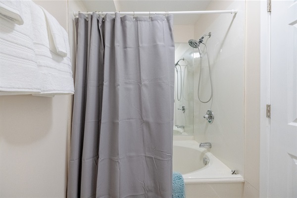 Master bathroom garden tub/shower