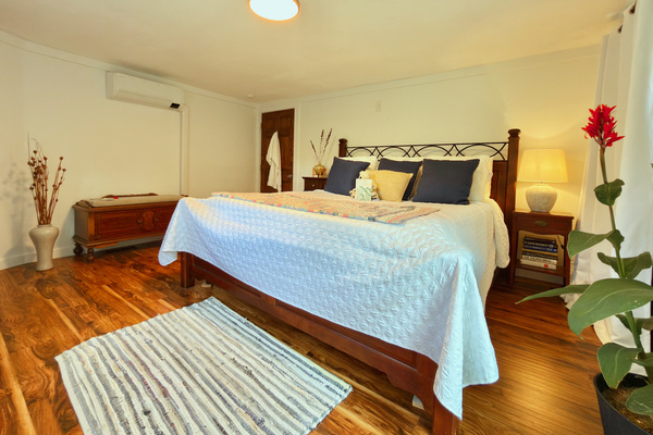 Garden-level bedroom with California King mattress, darkening shades, mini-split, and live plants. Note: 1 step down to bathroom via kitchen. A peaceful retreat.
