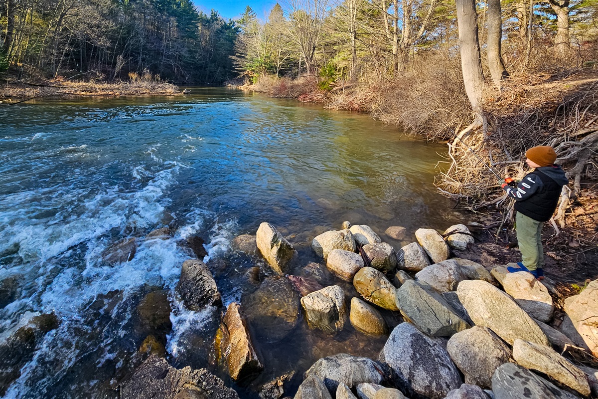 Stony Creek