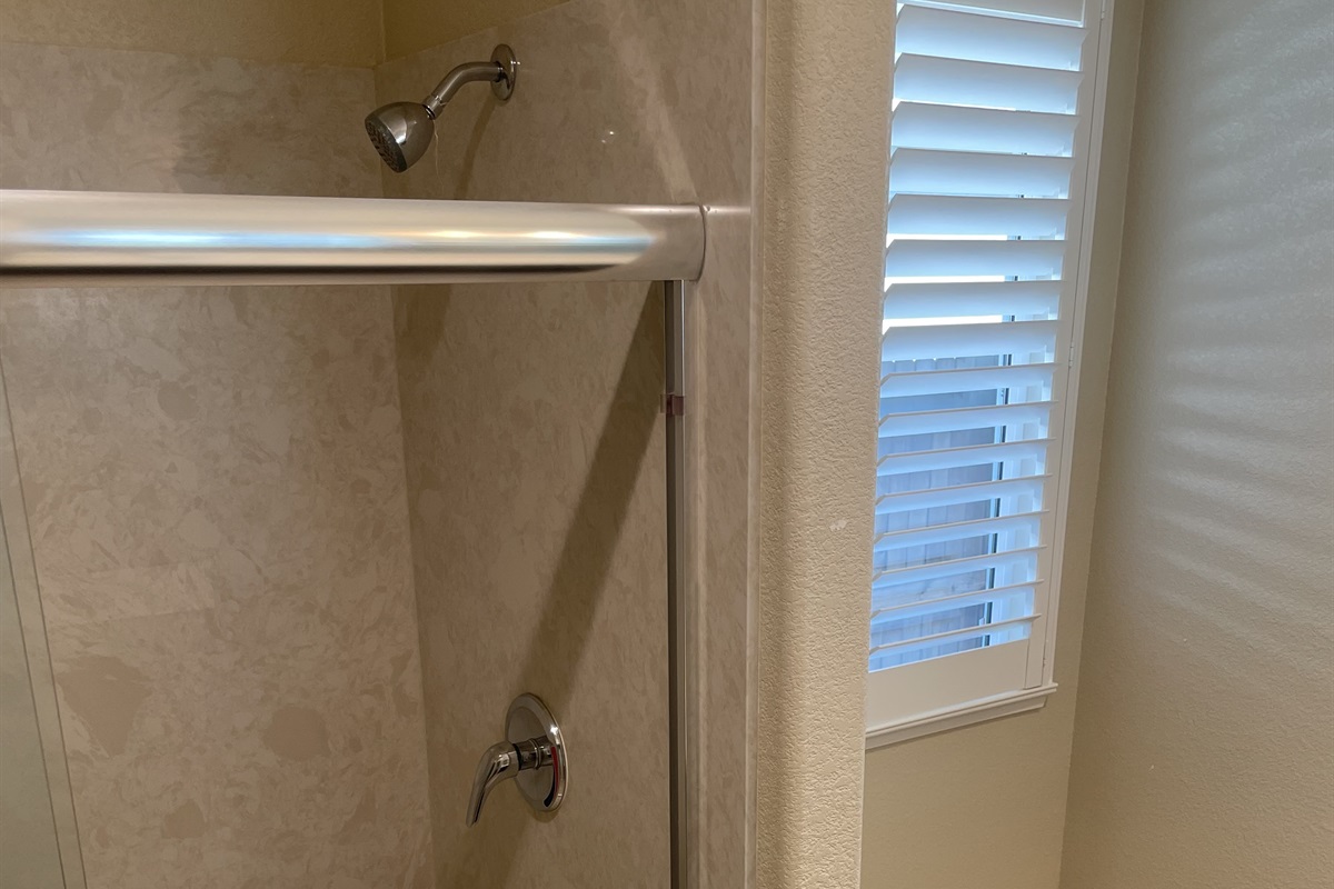 Master Bathroom Stand-up Shower