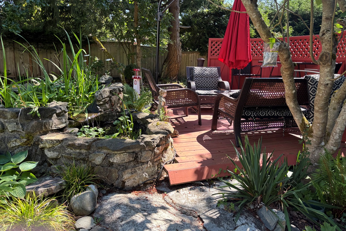 Tranquility in our back yard