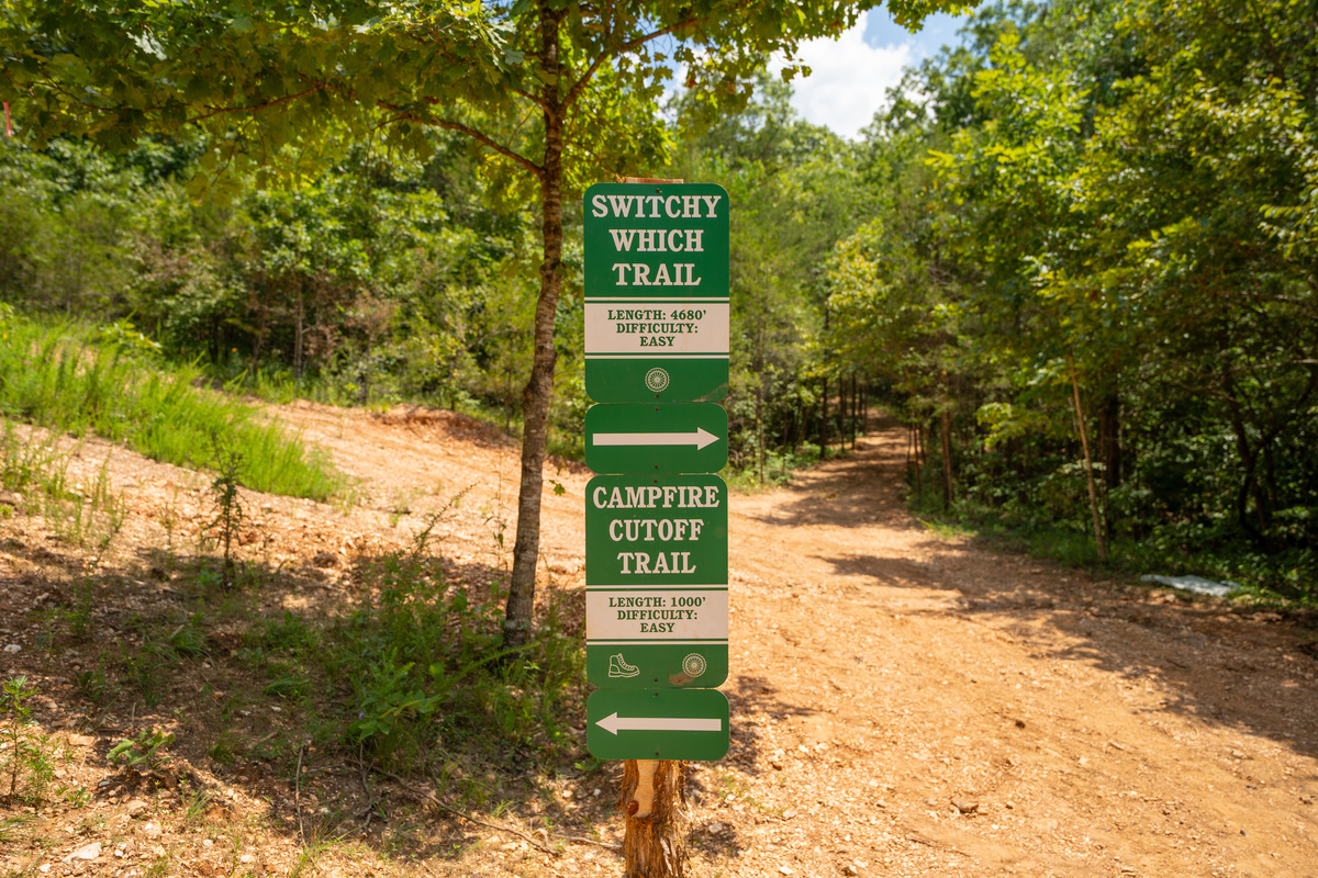Follow the marked trails on foot or e-bike, winding through towering timber and gentle Ozark hills.
