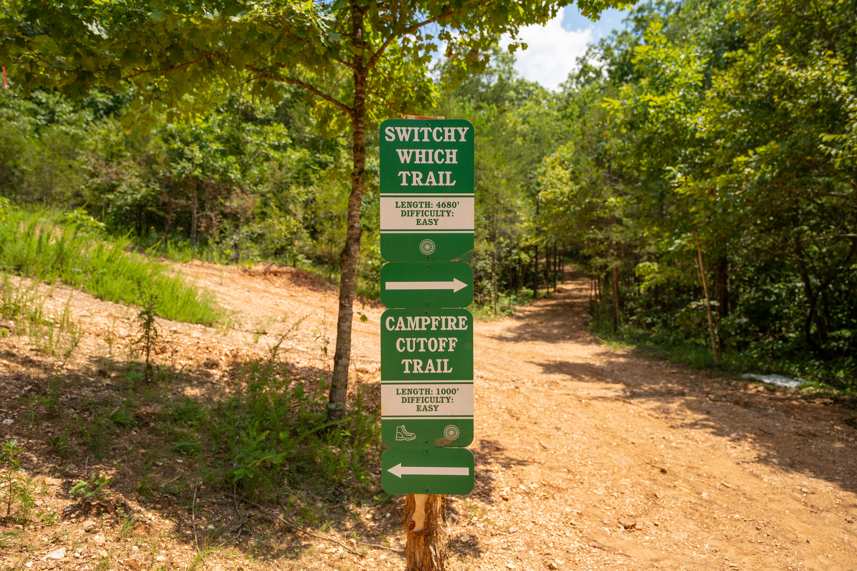 Follow the marked trails on foot or e-bike, winding through towering timber and gentle Ozark hills.