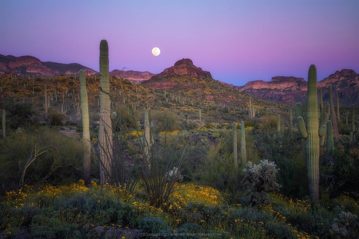 Superstition Mountains
