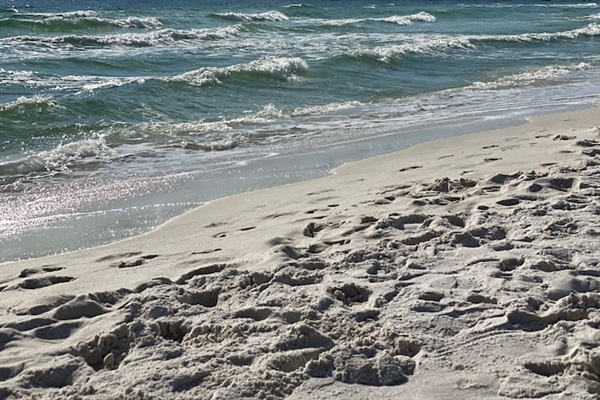 Take a walk along the beach to the Pier.  