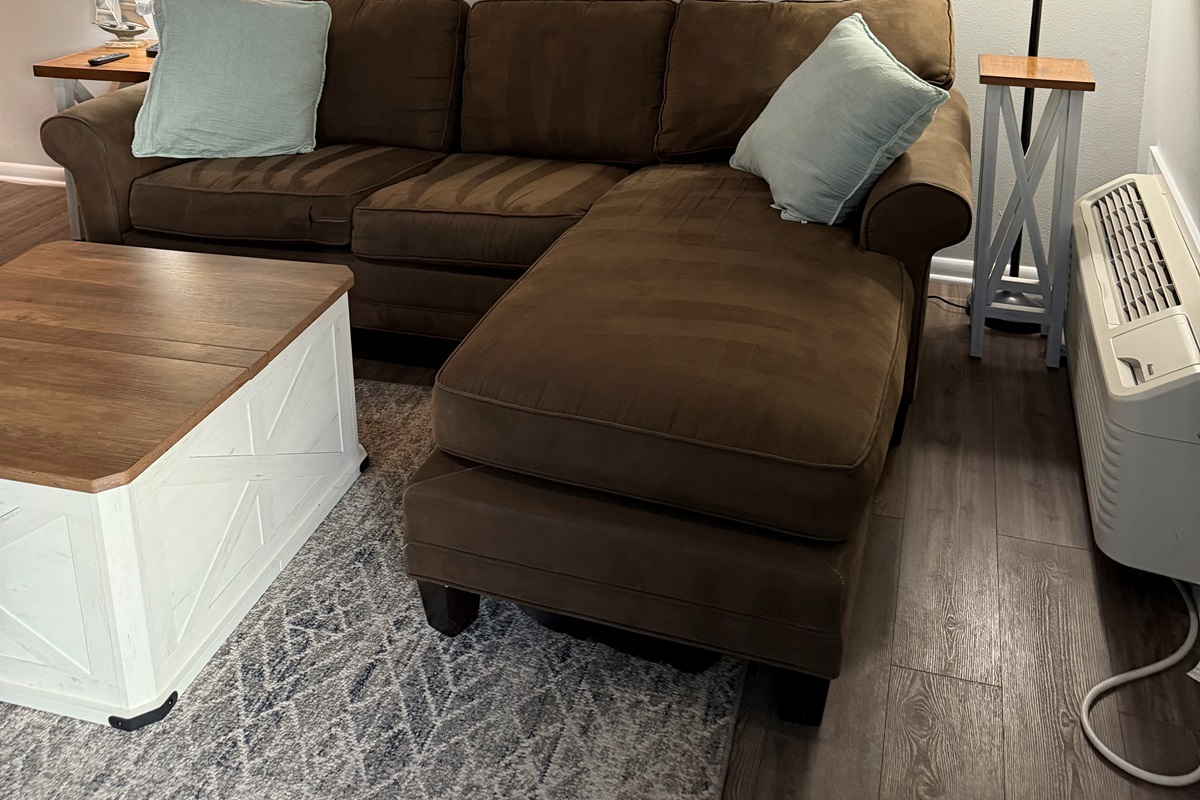 Comfy couch and queen sofa sleeper