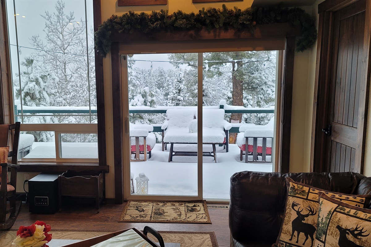 Front living area with access to the deck