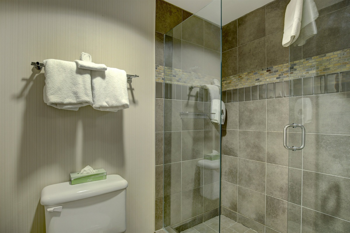 Master Ensuite