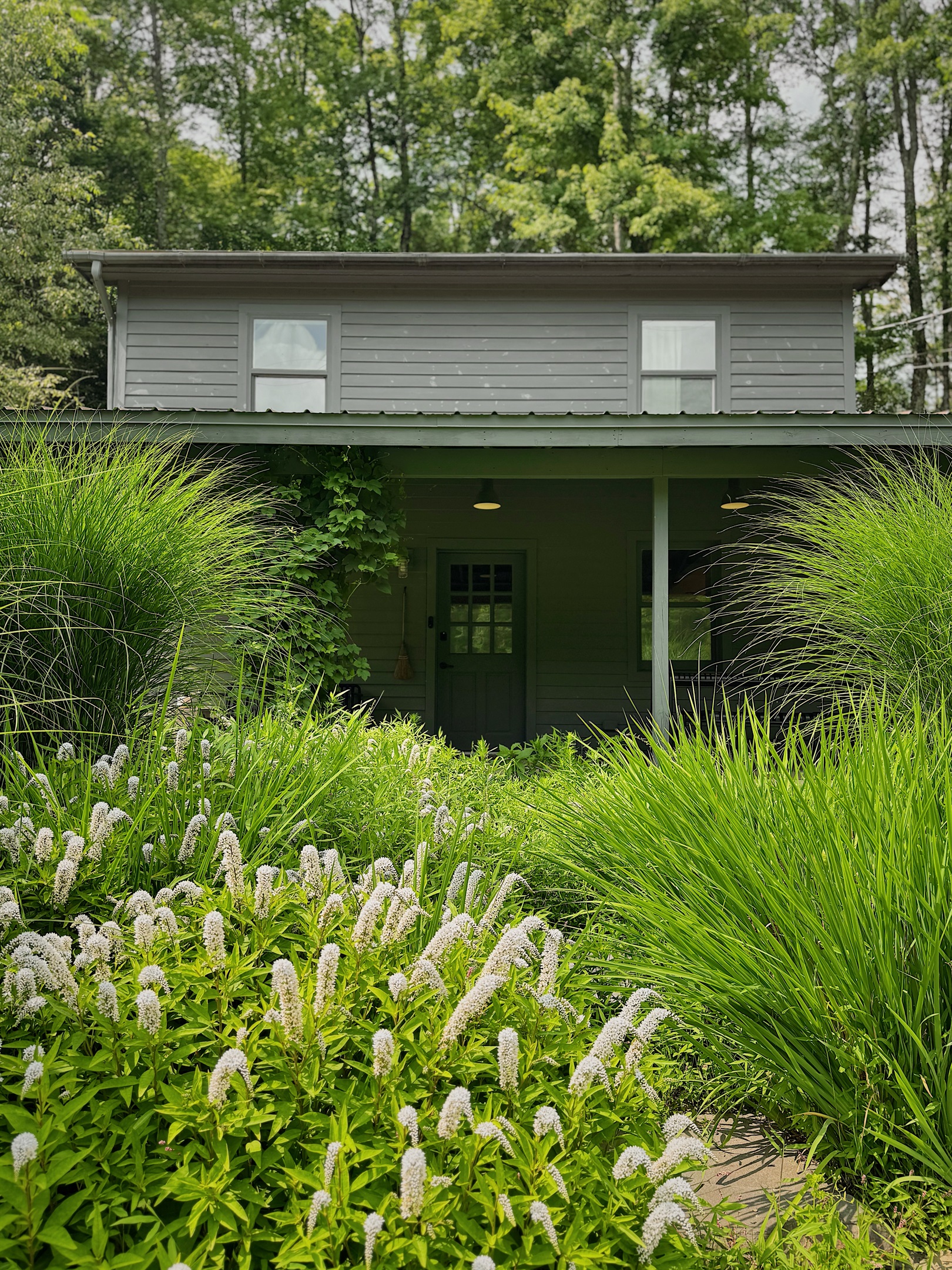 The front door in July.