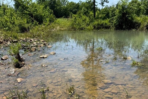 Clear water and rocky riverbed—natural and peaceful (May 2025).