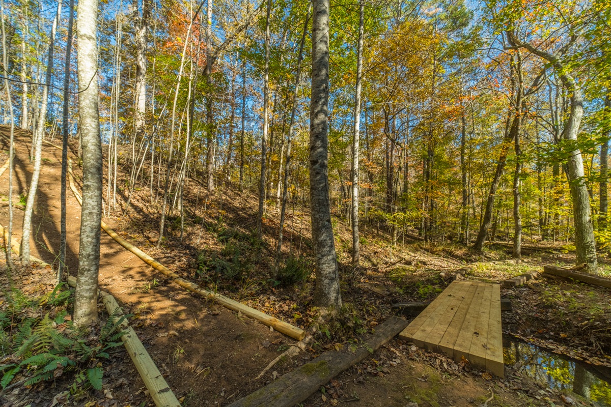 Babbling Creek Right Behind Cabin