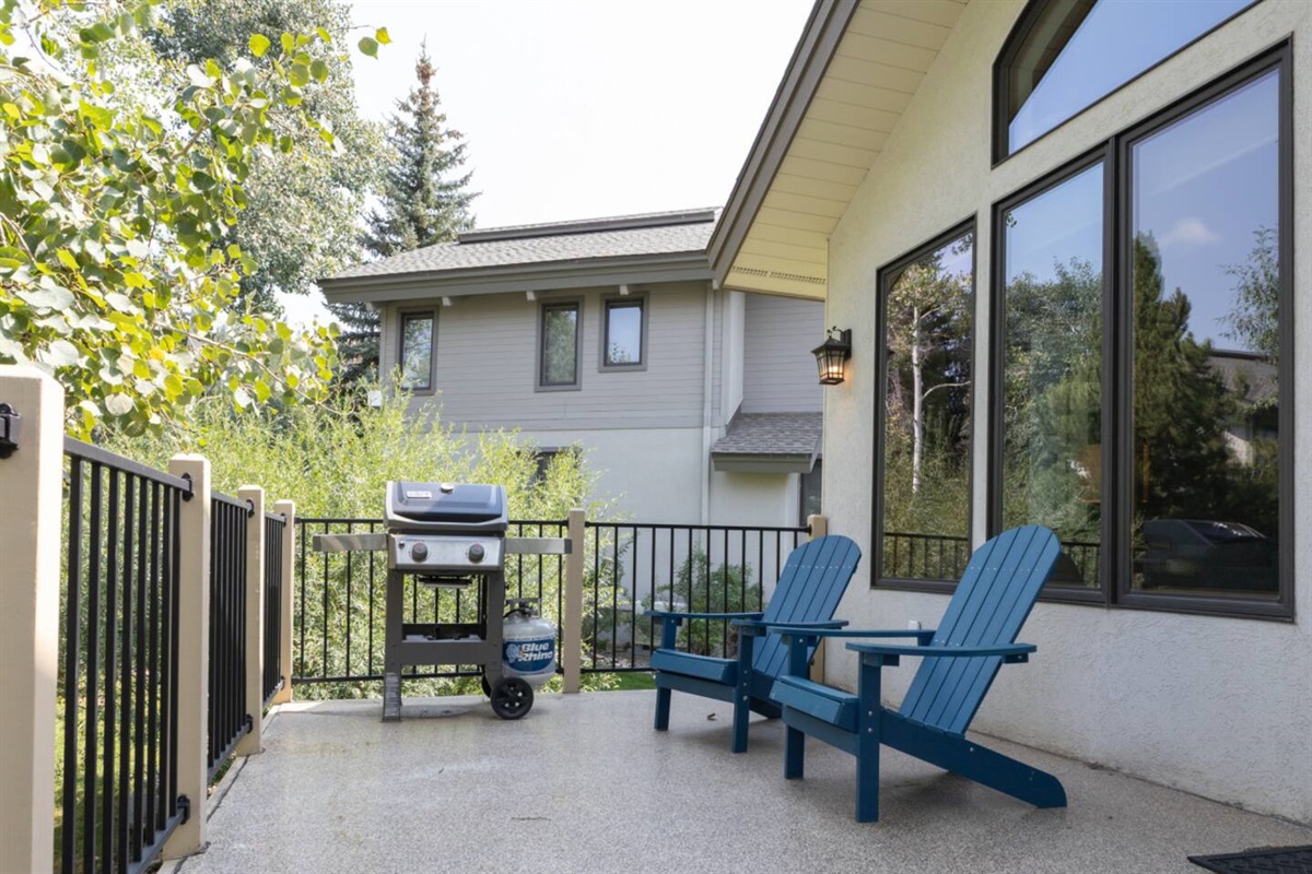 Outdoor Patio with Gas Grill 