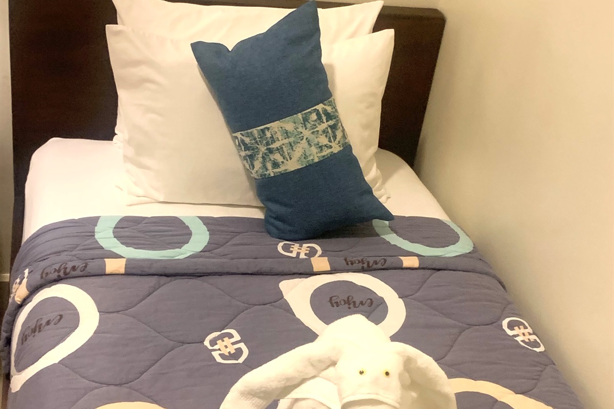 2nd BEDROOM (2-twin-beds)