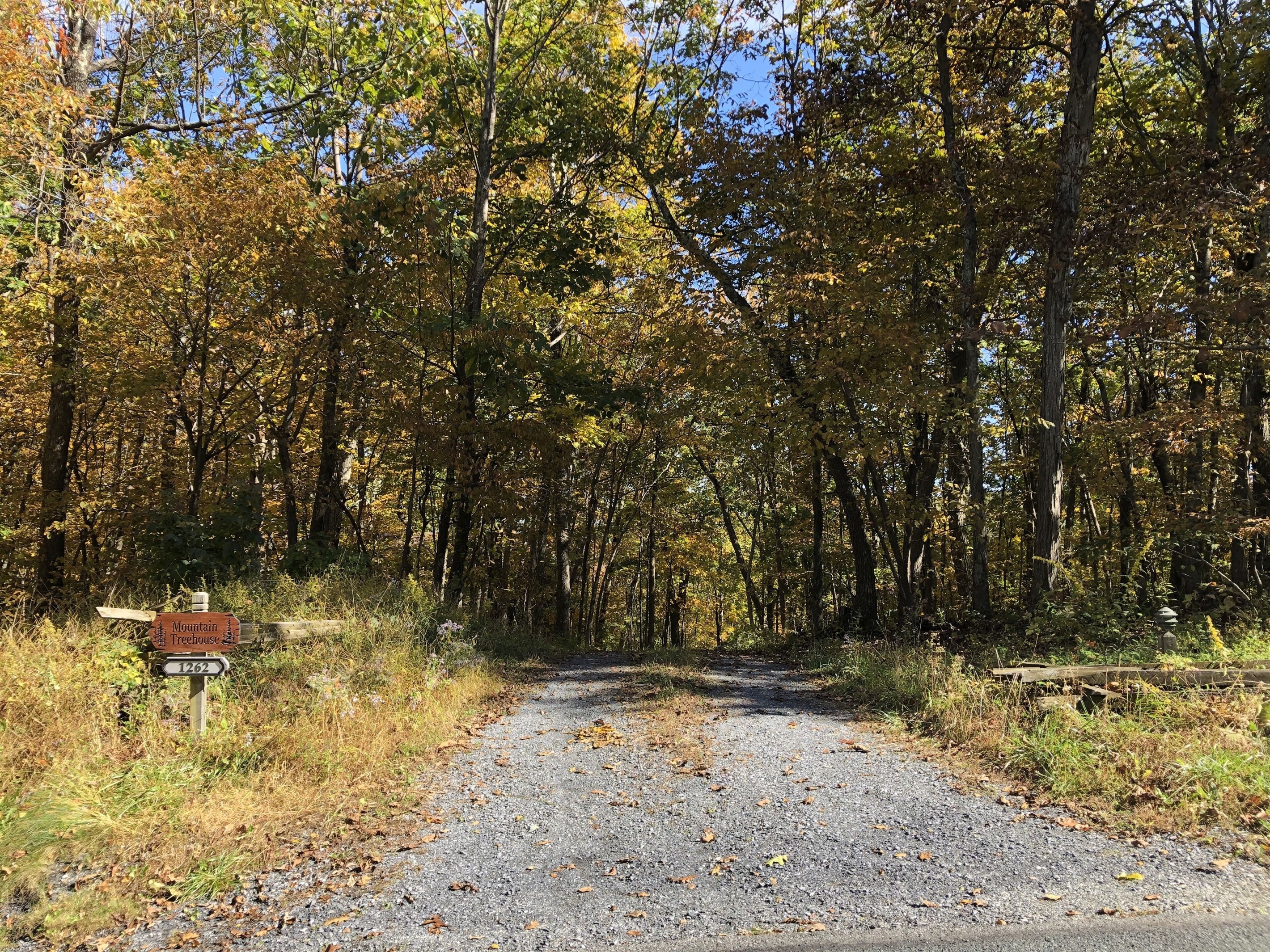  Our long driveway leads to our private, peaceful home.