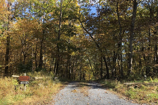  Our long driveway leads to our private, peaceful home.
