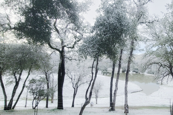 Sometimes our property turns into a winter wonderland