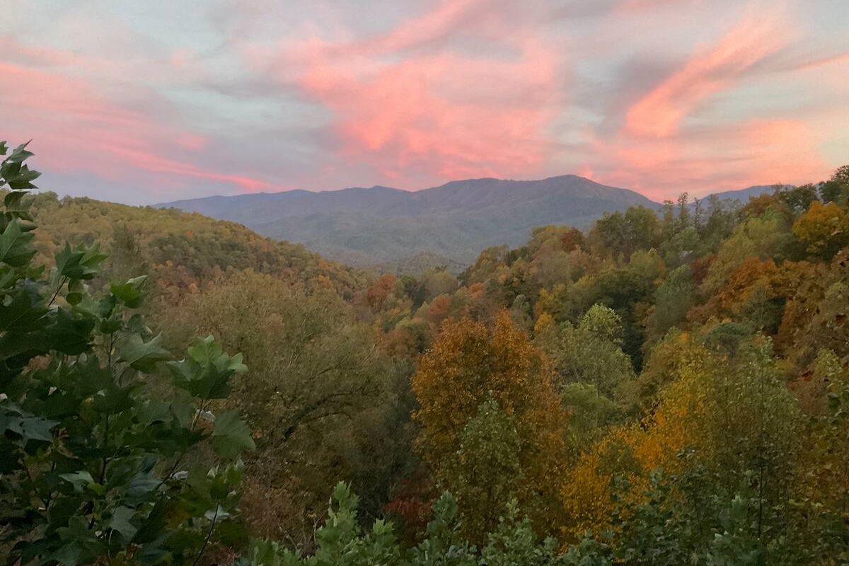 We love when guests share pictures with us, like this early fall view that they just couldn't get enough of.