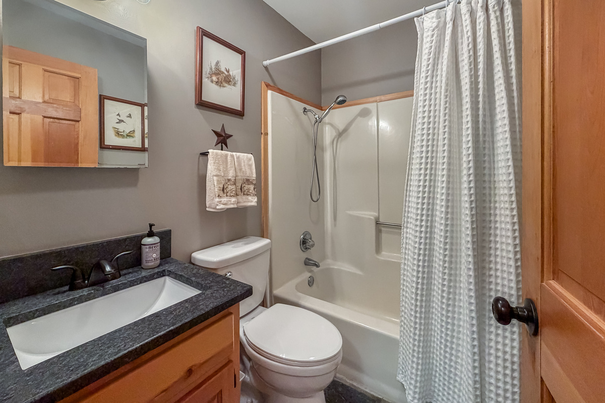 Full bathroom - tub/shower combo
