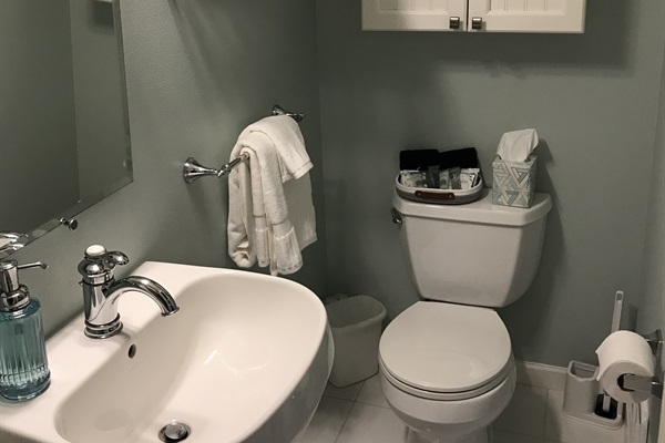 Extra Bathroom Downstairs