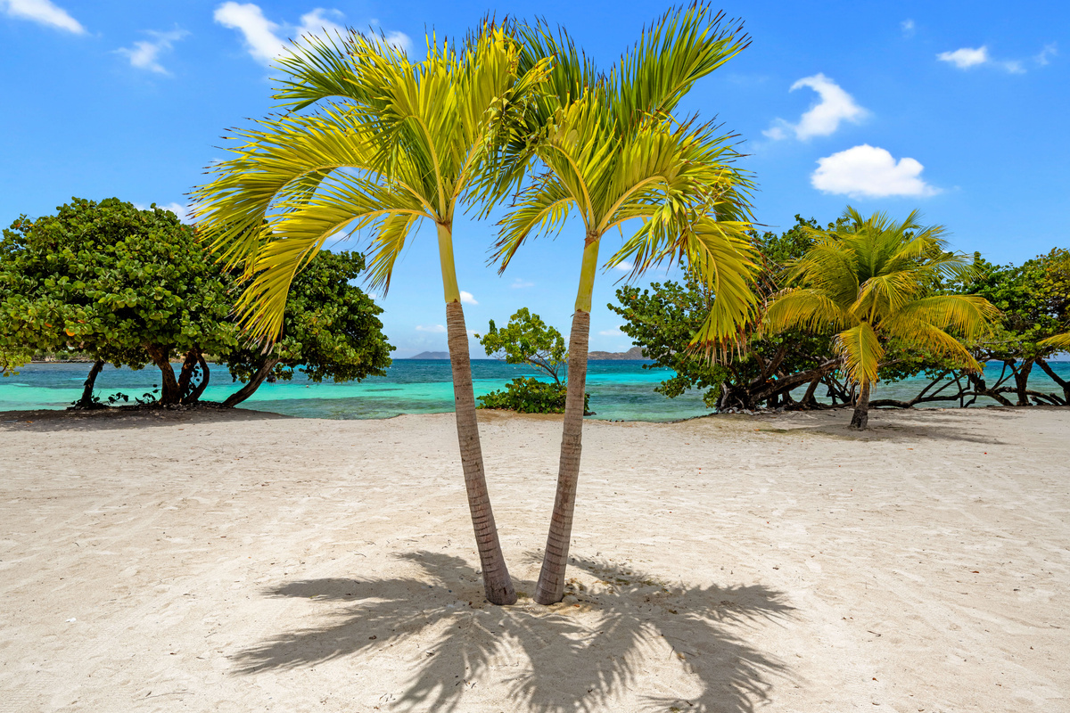 A bird's-eye view of your island escape surrounded by turquoise Caribbean waters.