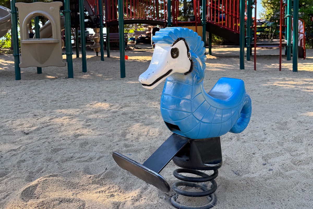 An amazing playground for the kiddos!