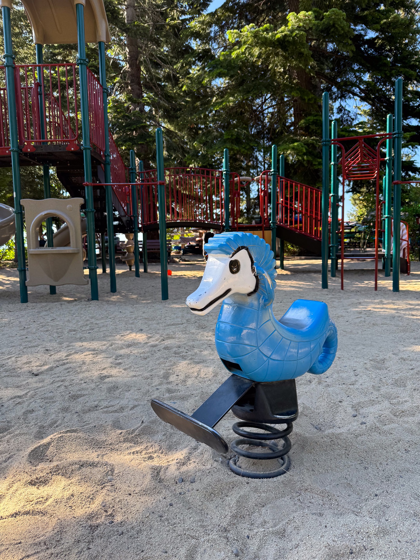 An amazing playground for the kiddos!