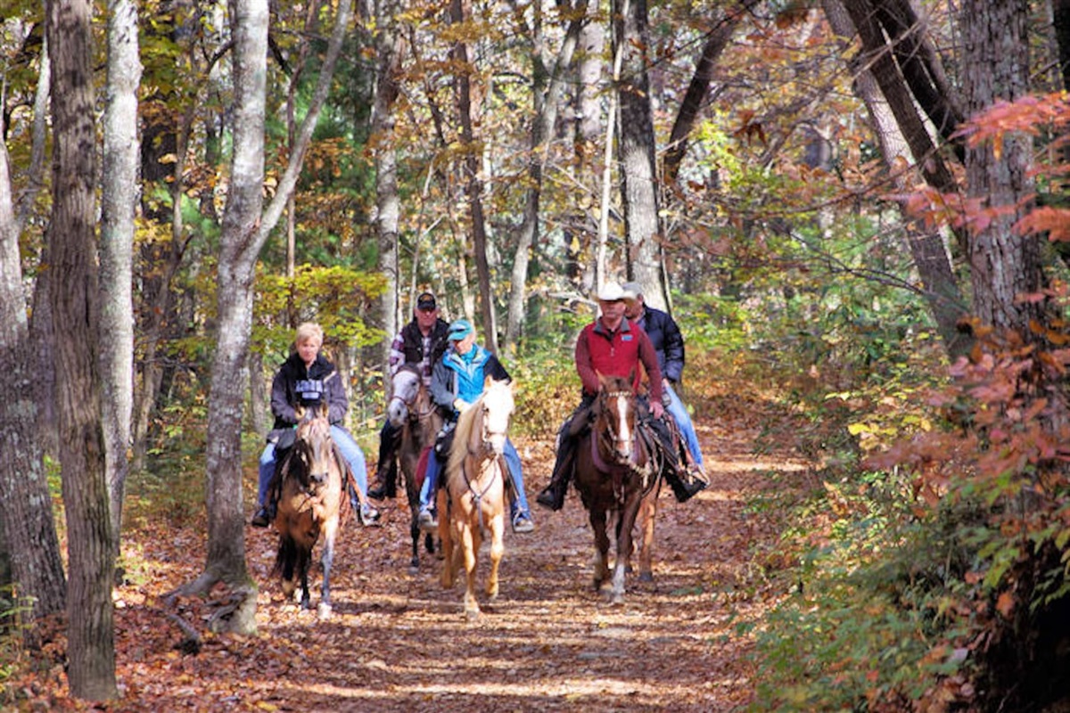 Nearby horseback riding
