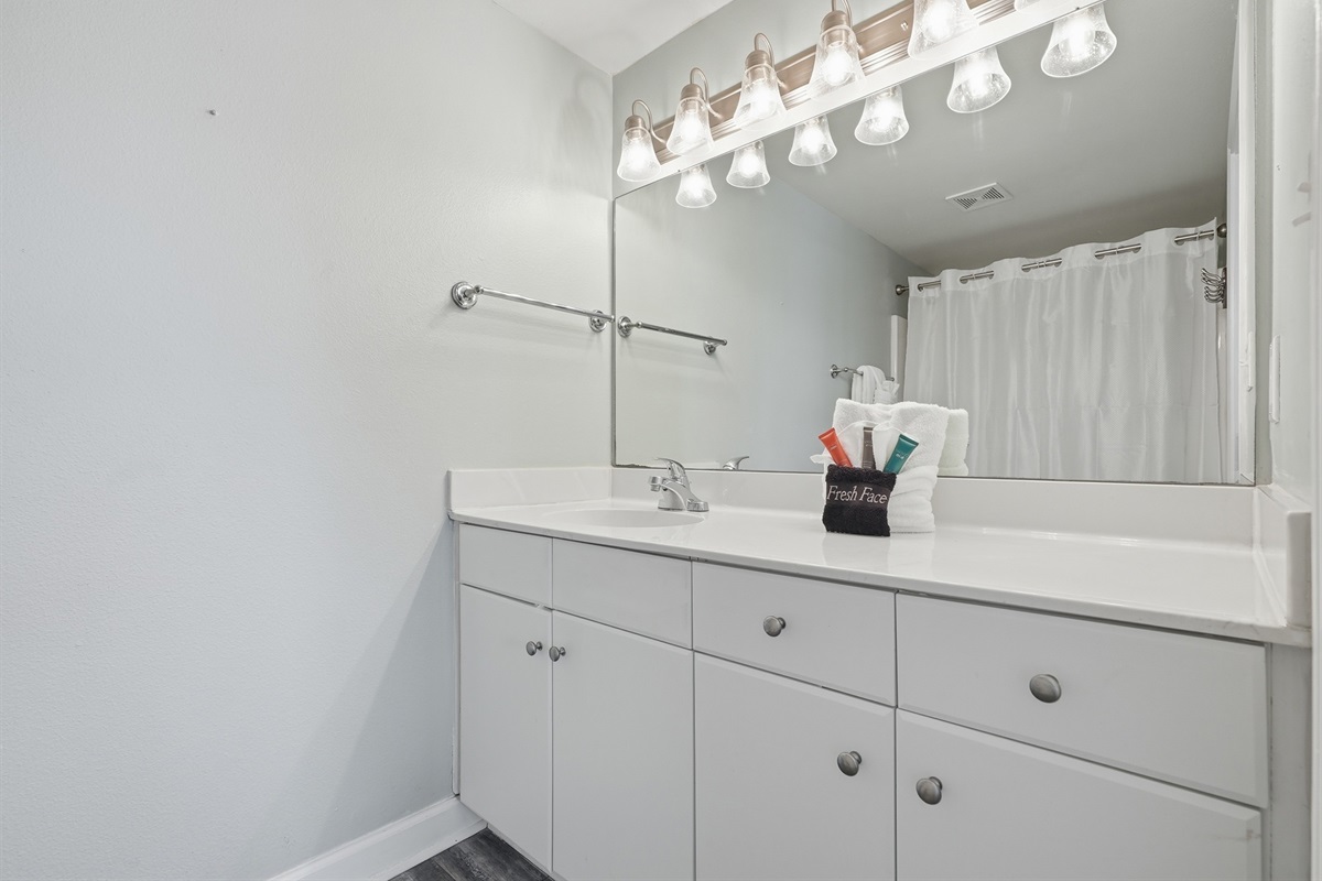 Guest Bath