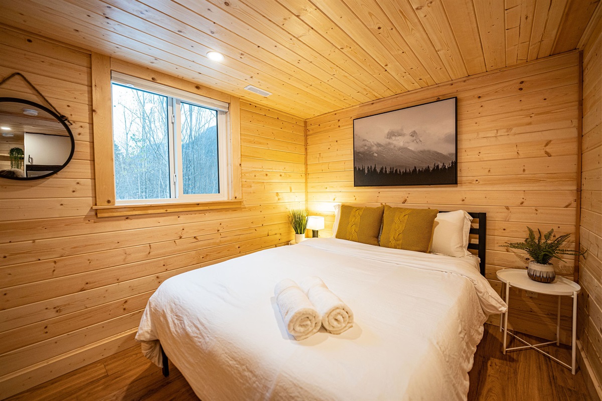 Lower bedroom - queen sized bed